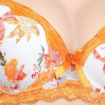 Printed Floral lace Push Up Bra Panty Set WLBS-005